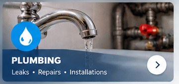 Emergency leak repair